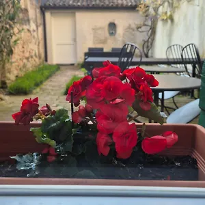 19 Borgo Cavour Italien